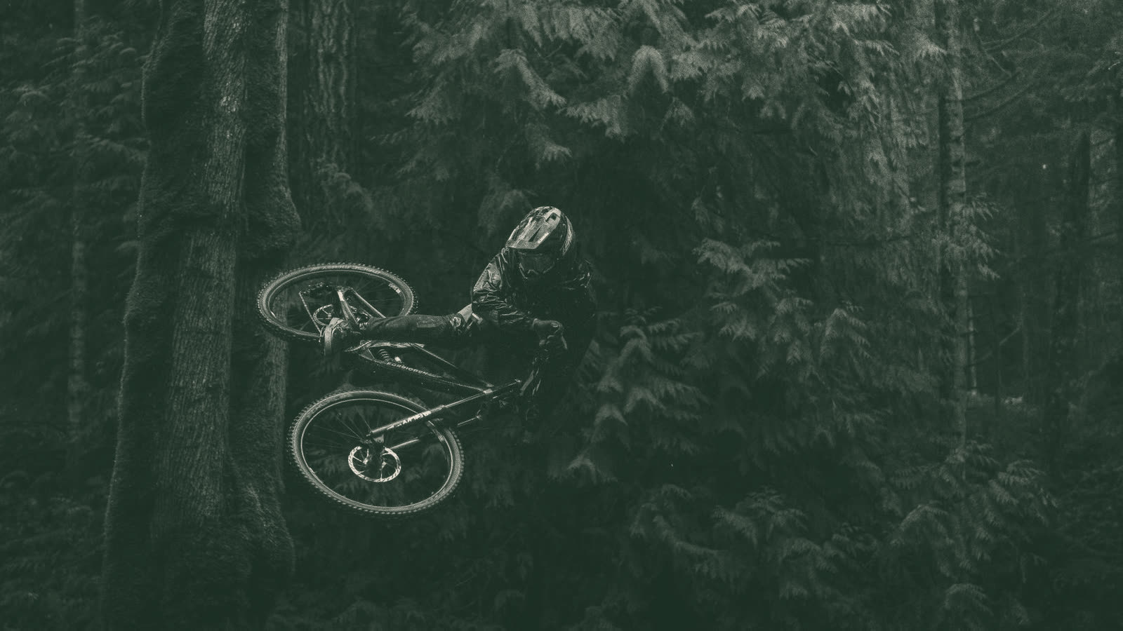 A mountain biker on a forest trail